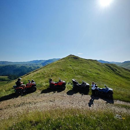 Mini Garden Konuk evi Mojkovac Dış mekan fotoğraf